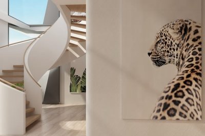 質感涂料施工工藝視頻在哪看?如何進行施工?